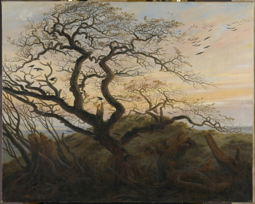 Friedrich Crows1.JPG